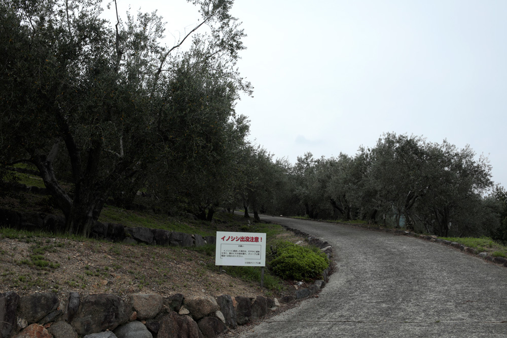 d0011713_19112367.jpg