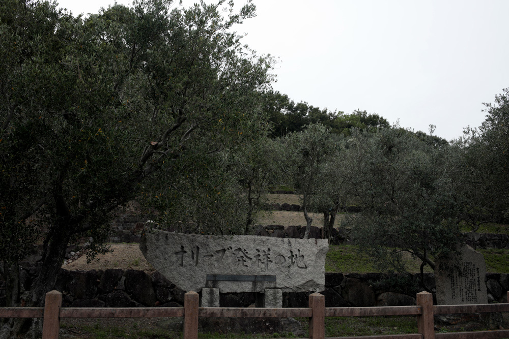 d0011713_19180249.jpg