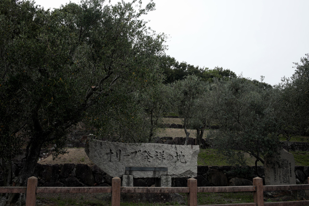 道の駅　小豆島オリーブ公園　_d0011713_19180249.jpg