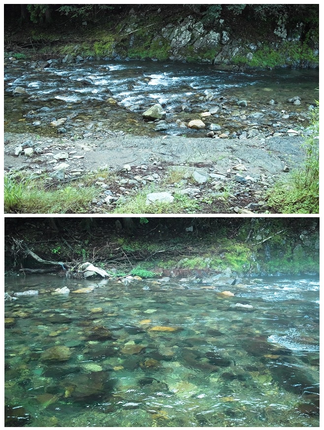 c0044819_7455456.jpg