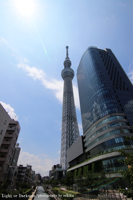 逆さスカイツリー_b0393924_13431074.jpg