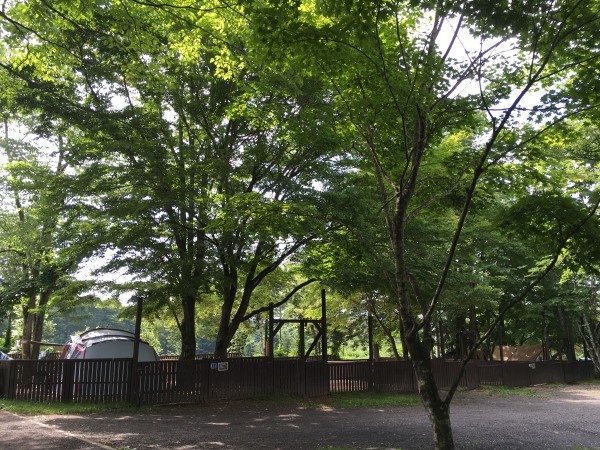 今週末の天気と気温(2019年7月26日):虫よけ・熱中症対策_b0174425_08133057.jpg