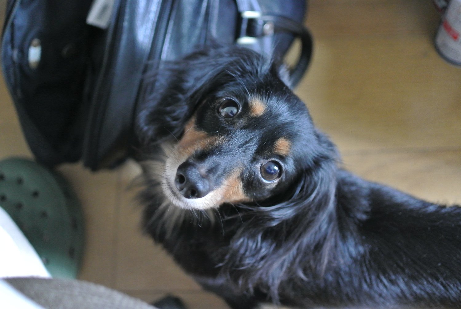 1-Nikkor 18.5mm F1.8 で「たよし」へ_b0069128_07453491.jpg