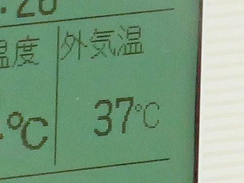 d0156040_12493025.jpg