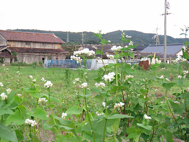 f0214649_03442078.jpg