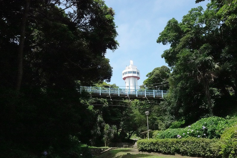 久しぶりのはまなす公園で ぶらり散歩 四季折々フォト日記