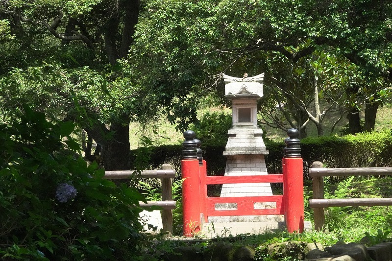 久しぶりのはまなす公園で ぶらり散歩 四季折々フォト日記