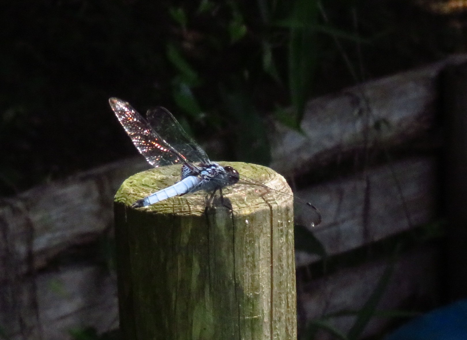 a0018655_09132424.jpg