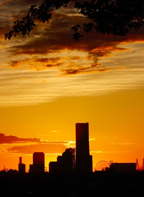 a0248459_18530787.jpg