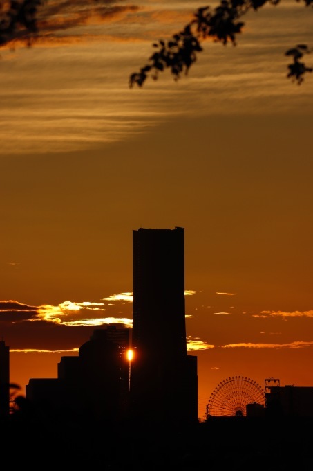 a0248459_18532390.jpg