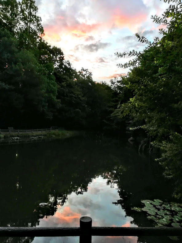 a0248459_18535991.jpg