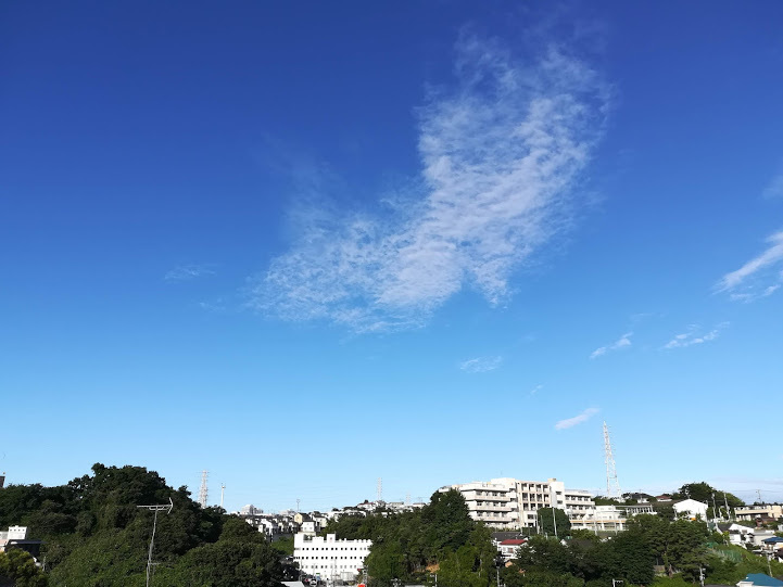 a0248459_18551524.jpg