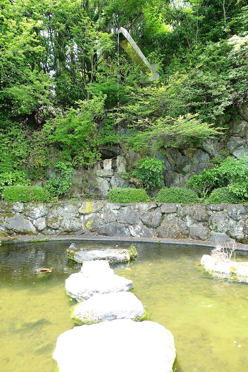 京都西山　善峯寺（その４）蓮華寿院の庭_c0112559_08225675.jpg