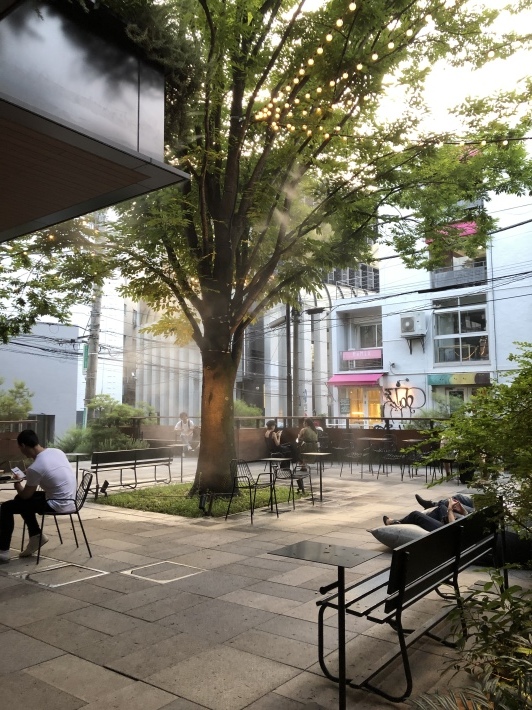 まいにち桃と外食日記_b0060363_22423262.jpeg