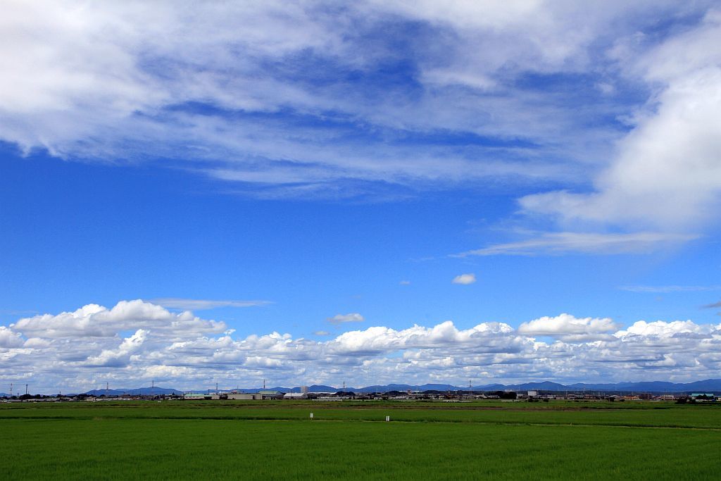 e0220163_17432206.jpg