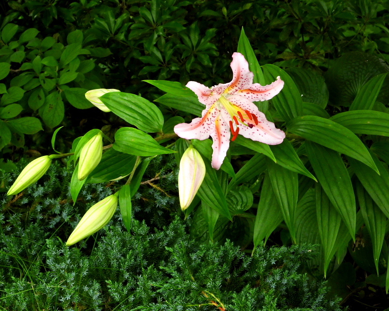 c0305565_17504900.jpg