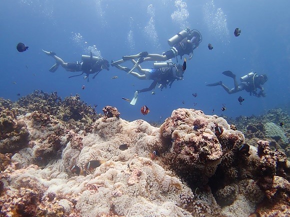 e0132965_17441007.jpg