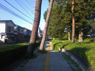 一緒に高知への移住を考えてくれる人を捜して!!_f0291565_15303633.jpg