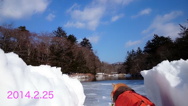 b0274270_18340409.jpg