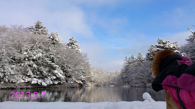 b0274270_18341553.jpg