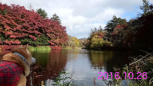 b0274270_18350130.jpg