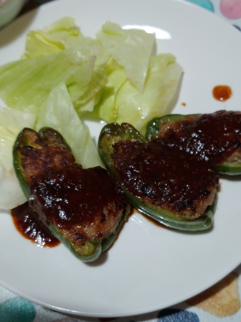 ピーマンの肉詰め定食と気持ち良い?_c0162773_12173572.jpg