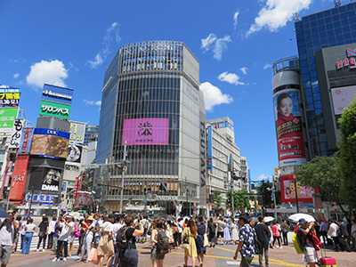 b0056983_17050211.jpg