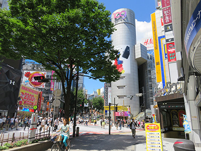b0056983_17063126.jpg