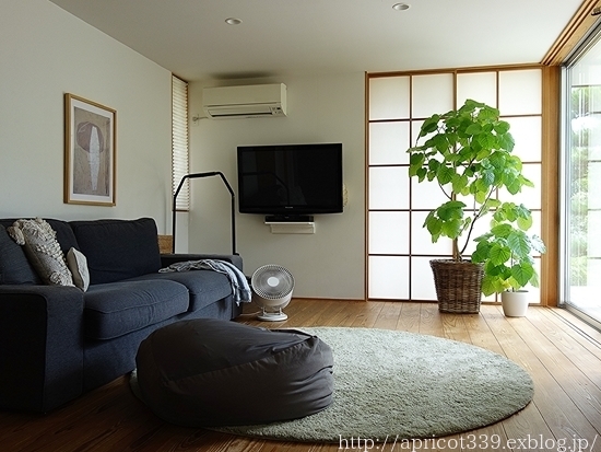 家のなかを夏仕様に_c0293787_10565894.jpg
