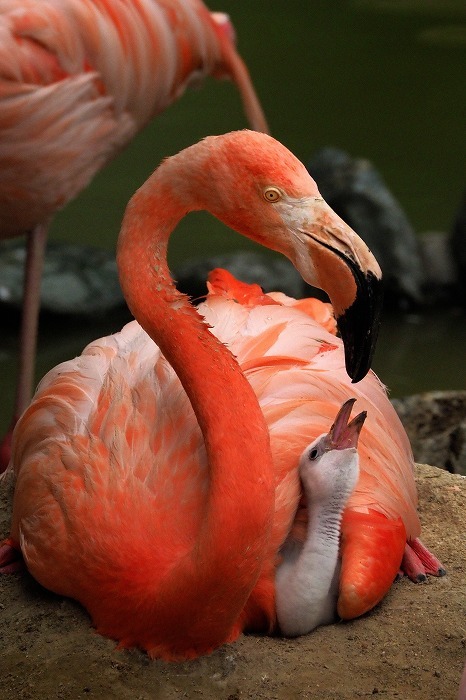 動物園_c0022089_22450353.jpg