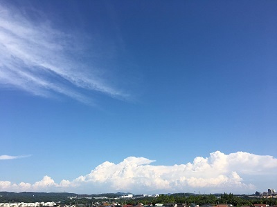 モンキー柄のシャツ完成~♪_f0372998_18413638.jpg