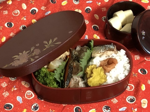曲げわっぱ漆塗りのお弁当箱 秋田 蕗だより 曲げわっぱ漆塗りのお弁当箱 秋田 蕗だより