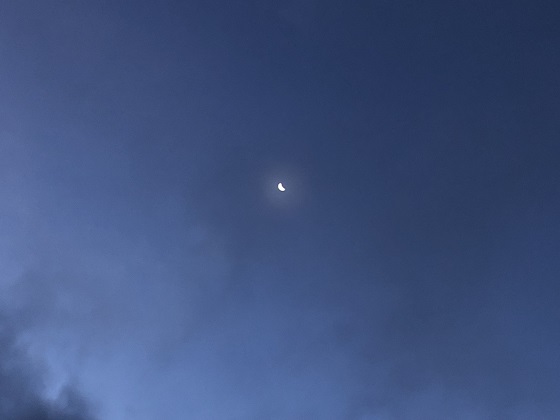 f0364707_21550084.jpg