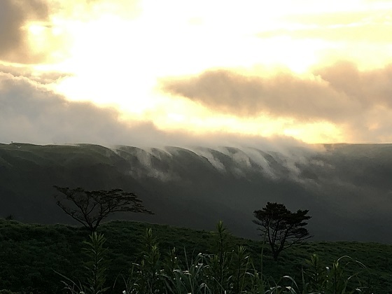 f0364707_22364455.jpg