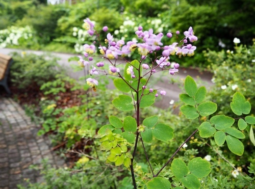 d0179410_22483406.jpeg