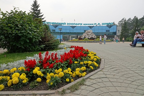 a0151913_21583566.jpg