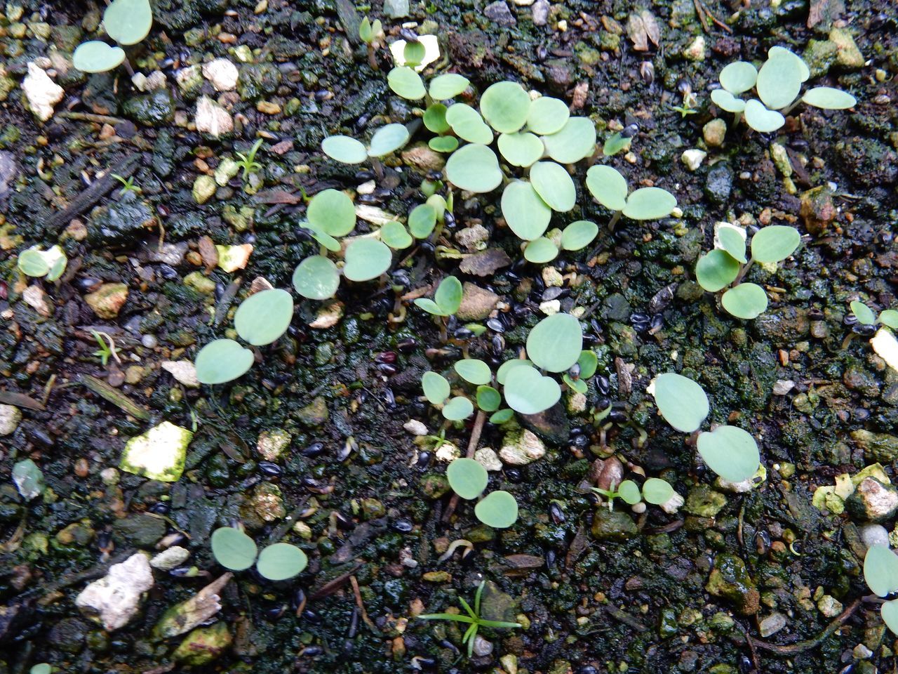 c0025115_22474913.jpg