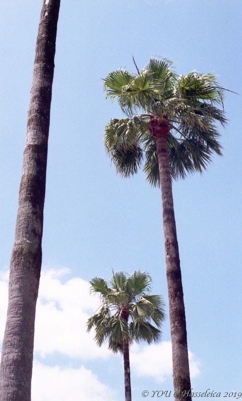d0339617_12024755.jpg