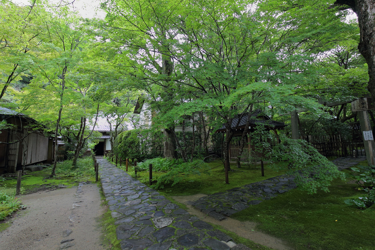 京の夏の旅2019 －蓮華寺～栖賢寺－ _b0169330_019428.jpg