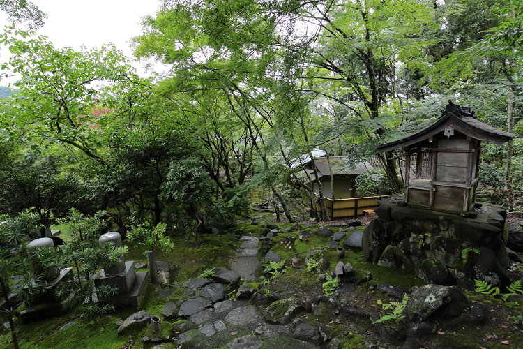 京の夏の旅2019 －蓮華寺～栖賢寺－ _b0169330_15493287.jpg