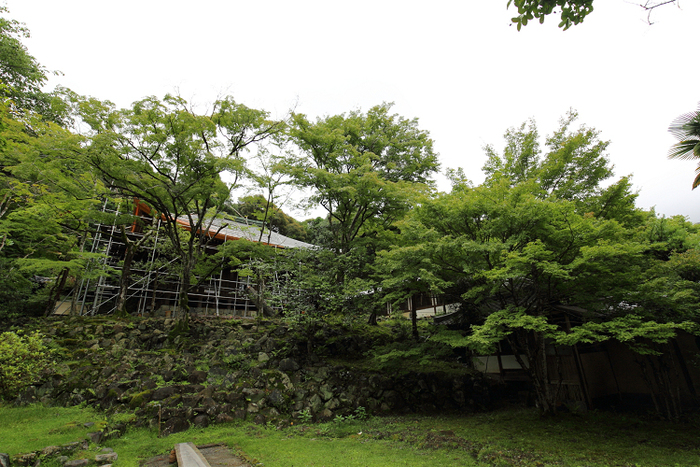 京の夏の旅2019 －蓮華寺～栖賢寺－ _b0169330_1613912.jpg