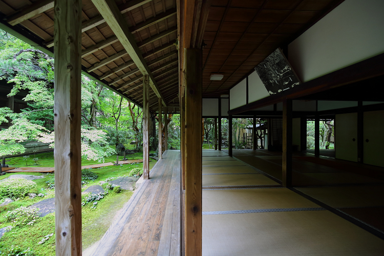 京の夏の旅2019 －蓮華寺～栖賢寺－ _b0169330_756404.jpg