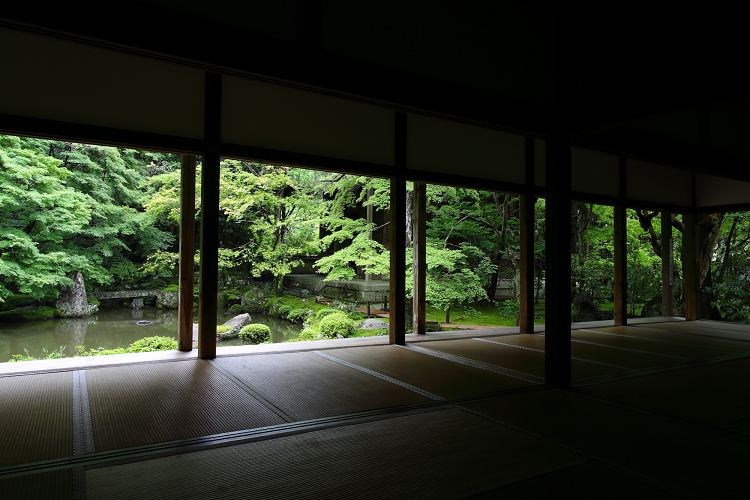 京の夏の旅2019 －蓮華寺～栖賢寺－ _b0169330_8412199.jpg