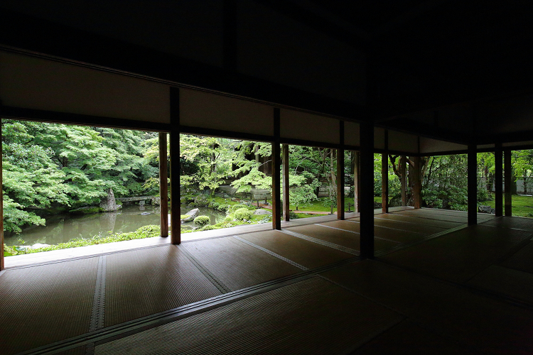 京の夏の旅2019 －蓮華寺～栖賢寺－ _b0169330_882777.jpg