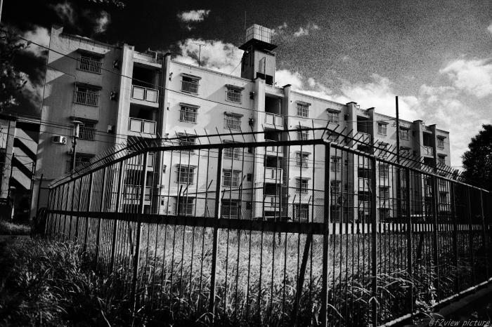 e0191232_22011398.jpg