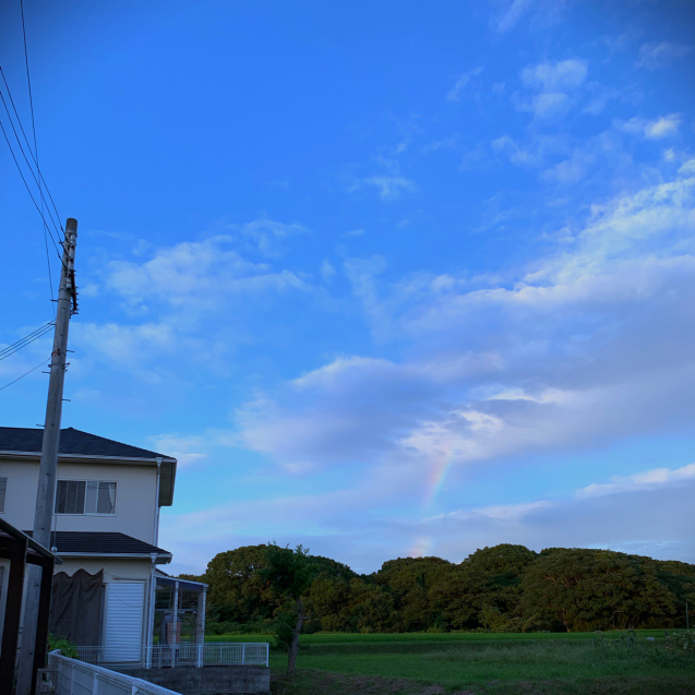 d0355333_07025666.jpg