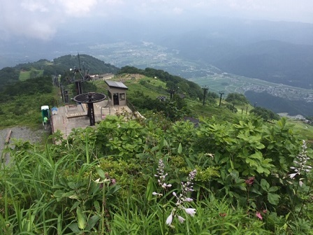 a0272241_17372642.jpeg