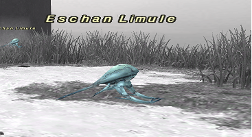 エスカルオンNM討伐の旅 ~Warder of Dignity~_e0401547_19271087.png