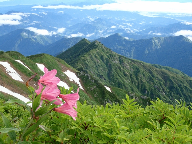 2019/7/19~21飯豊山 その3 ダイクラ尾根下山_b0189948_22522249.jpg