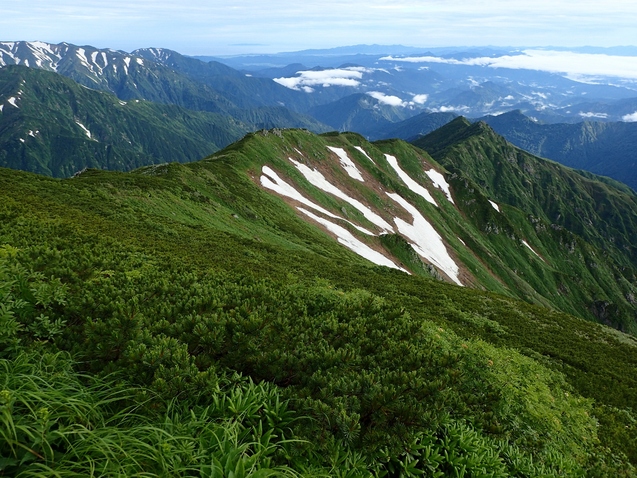 2019/7/19~21飯豊山 その3 ダイクラ尾根下山_b0189948_22562481.jpg
